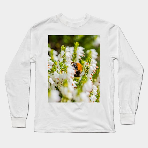 Tree Bumble Bee Long Sleeve T-Shirt by mbangert